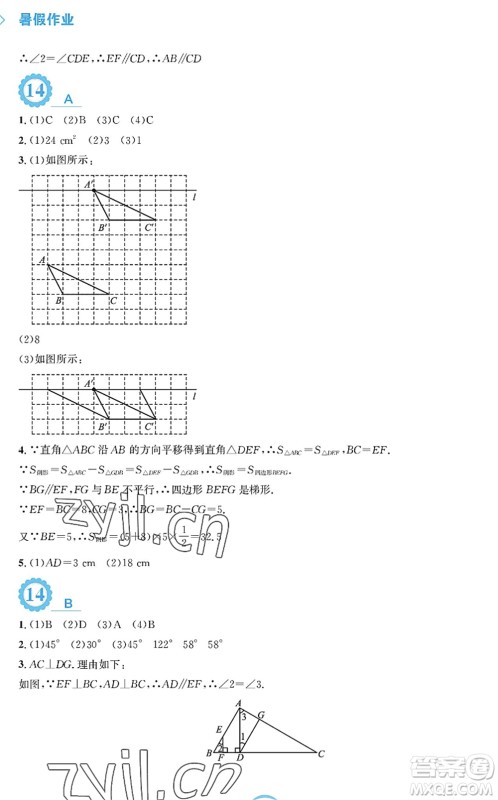 安徽教育出版社2022暑假作业七年级数学通用版S答案