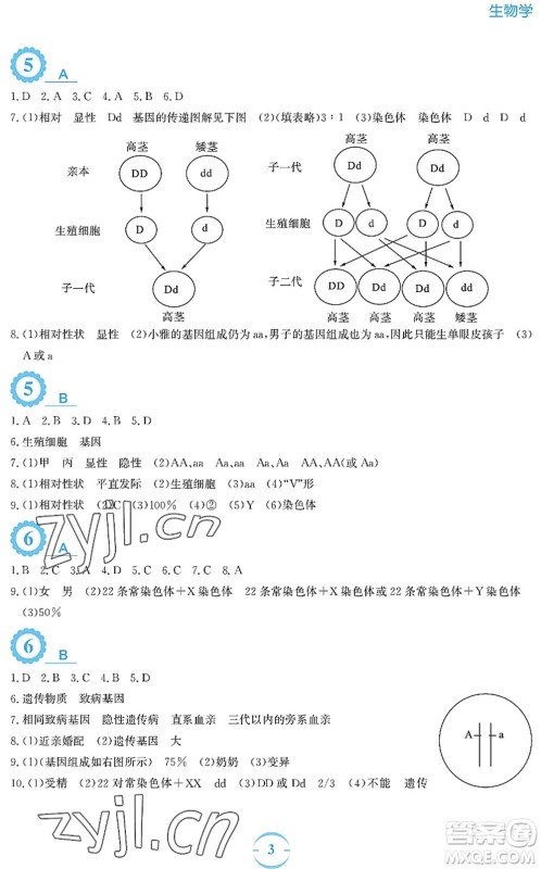 安徽教育出版社2022暑假作业八年级生物苏教版答案