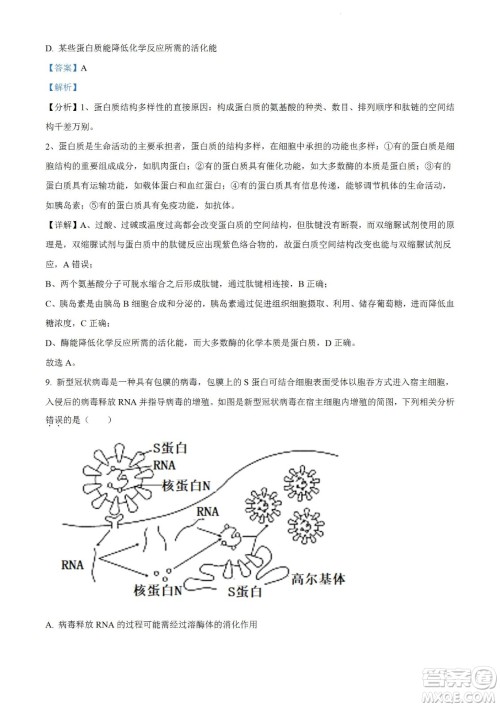 河南洛阳市强基联盟23届新高三摸底大联考生物试题及答案