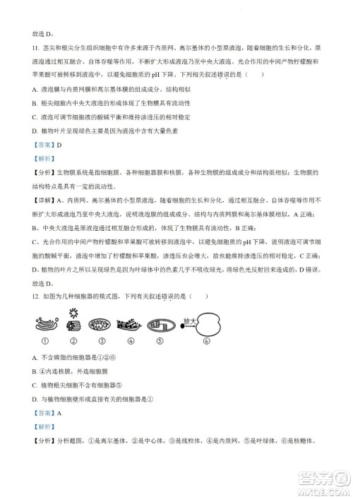 河南洛阳市强基联盟23届新高三摸底大联考生物试题及答案