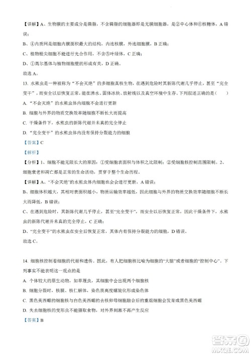 河南洛阳市强基联盟23届新高三摸底大联考生物试题及答案 河南洛阳市强基联盟23届新高三摸底大联考生物试题及答案