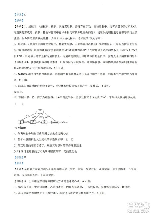 河南洛阳市强基联盟23届新高三摸底大联考生物试题及答案 河南洛阳市强基联盟23届新高三摸底大联考生物试题及答案