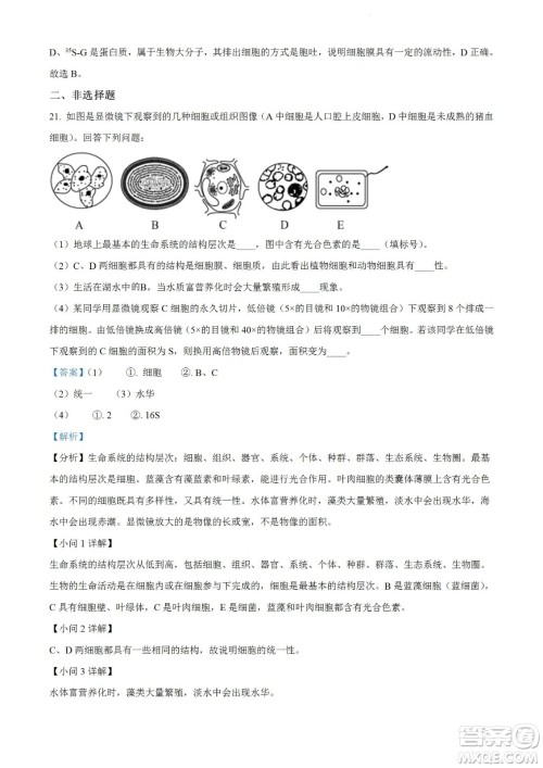 河南洛阳市强基联盟23届新高三摸底大联考生物试题及答案