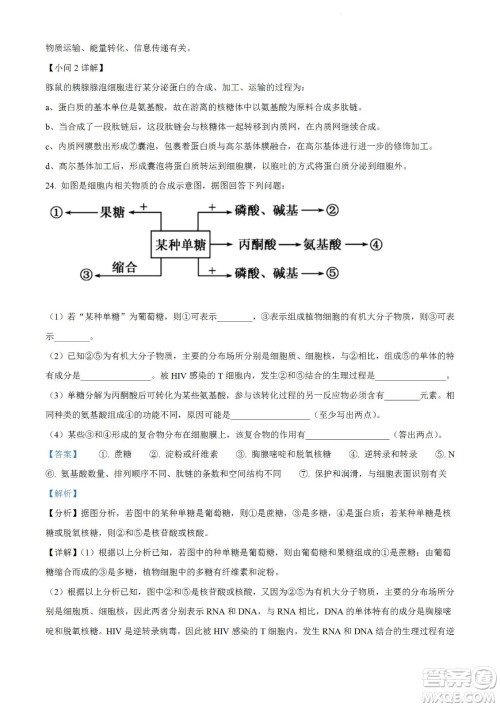 河南洛阳市强基联盟23届新高三摸底大联考生物试题及答案