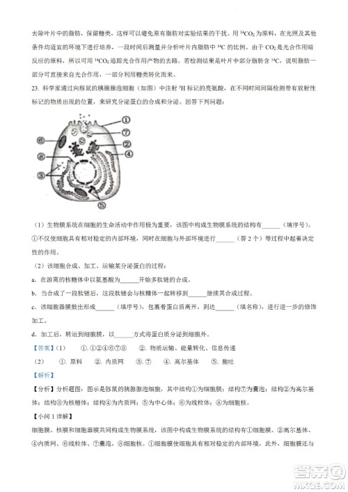 河南洛阳市强基联盟23届新高三摸底大联考生物试题及答案 河南洛阳市强基联盟23届新高三摸底大联考生物试题及答案
