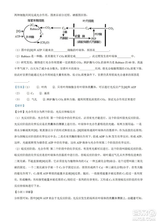 柳州市2023届新高三摸底考试生物试题及答案