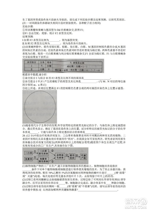 湖南省长郡中学2021-2022学年高二下学期期末考试生物试题及答案