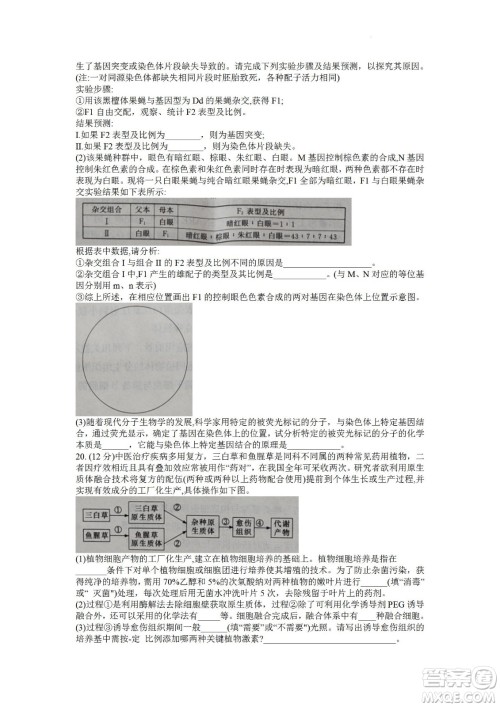 湖南省长郡中学2021-2022学年高二下学期期末考试生物试题及答案