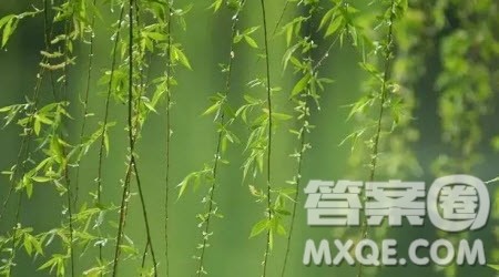 想象动植物的梦作文400字 关于动植物的梦的想象作文400字