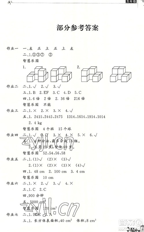 开明出版社2022新暑假生活五年级数学RJ人教版答案