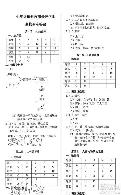 中西书局2022精彩假期暑假篇七年级合订本通用版答案