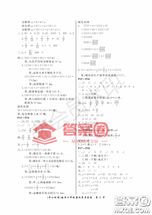 武汉出版社2020年开心假期暑假作业六年级数学人教版答案
