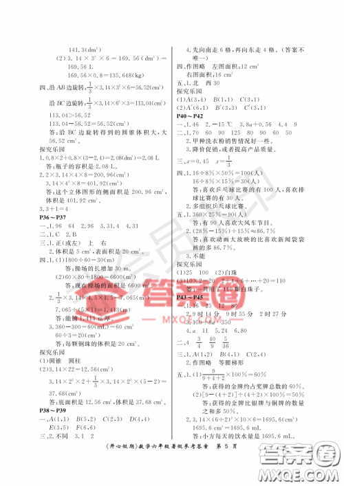 武汉出版社2020年开心假期暑假作业六年级数学人教版答案