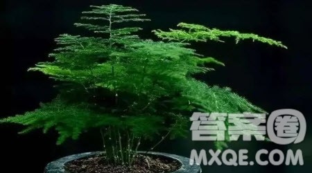 心中有一抹____为题作文600字 以心中有一抹____为题的作文600字 心中有一抹____为题作文600字 以心中有一抹____为题的作文600字