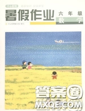 武汉出版社2022开心假期暑假作业六年级数学人教版答案
