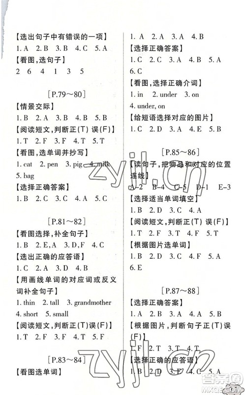 浙江少年儿童出版社2022暑假学与练三年级语文英语R人教版答案