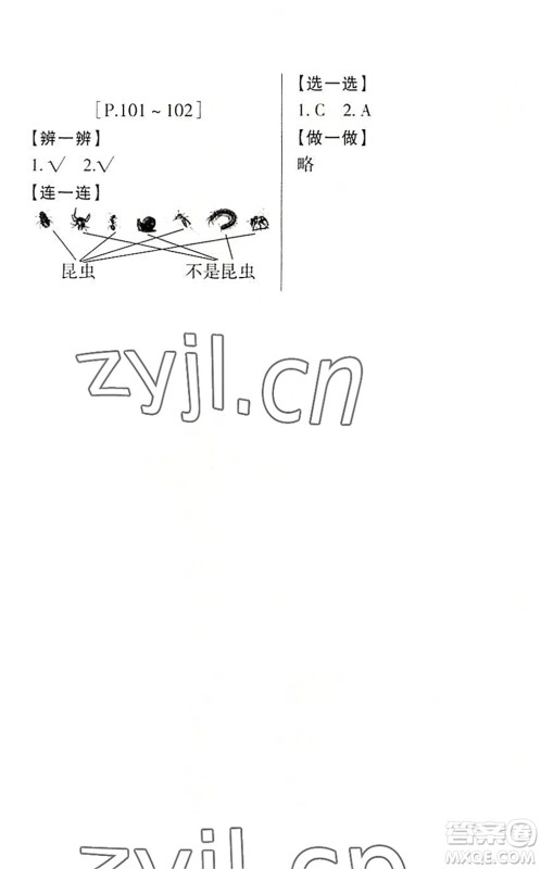 浙江少年儿童出版社2022暑假学与练三年级数学R人教版科学J教科版答案