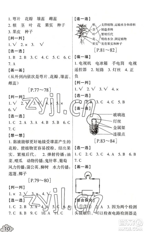 浙江少年儿童出版社2022暑假学与练四年级数学B北师版科学J教科版答案