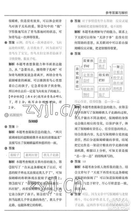 湖南师范大学出版社2022木头马阅读力测评暑假读写辅导五年级语文通用版答案 湖南师范大学出版社2022木头马阅读力测评暑假读写辅导五年级语文通用版答案