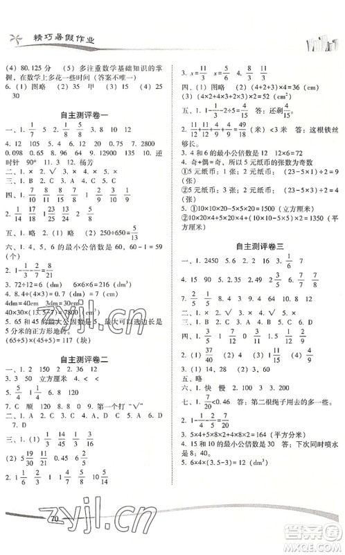 云南美术出版社2022精巧暑假作业五年级数学RJ人教版答案