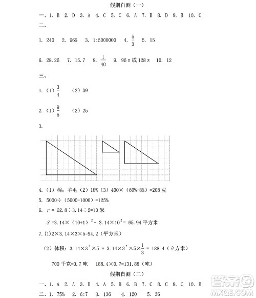 黑龙江少年儿童出版社2022阳光假日暑假六年级数学人教版答案