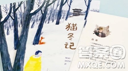 猫冬记读后感500字 关于猫冬记的读后感500字