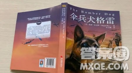 伞兵犬格雷读后感500字 关于伞兵犬格雷的读后感500字