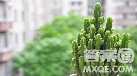 炎热的夏天作文300字 以炎热的夏天为题的作文300字