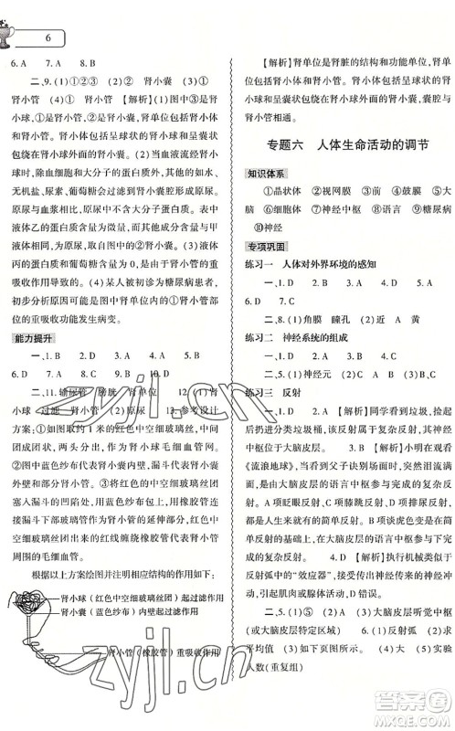 大象出版社2022生物暑假作业本七年级人教版答案