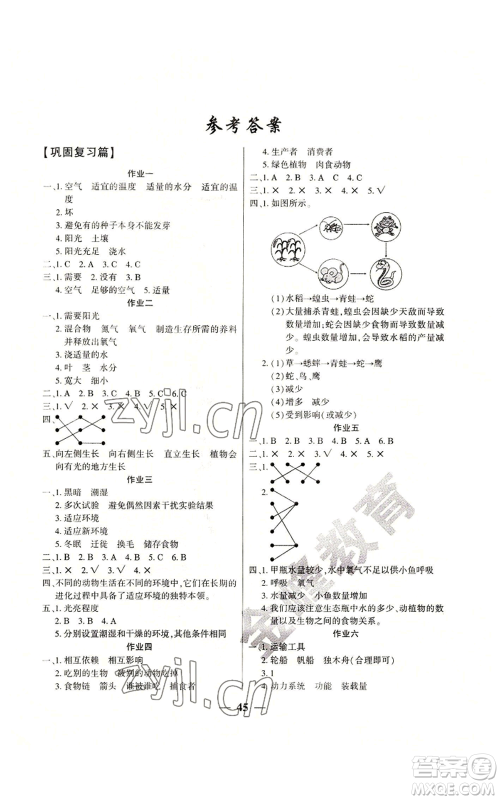 新疆文化出版社2022开心暑假作业五年级科学教科版参考答案