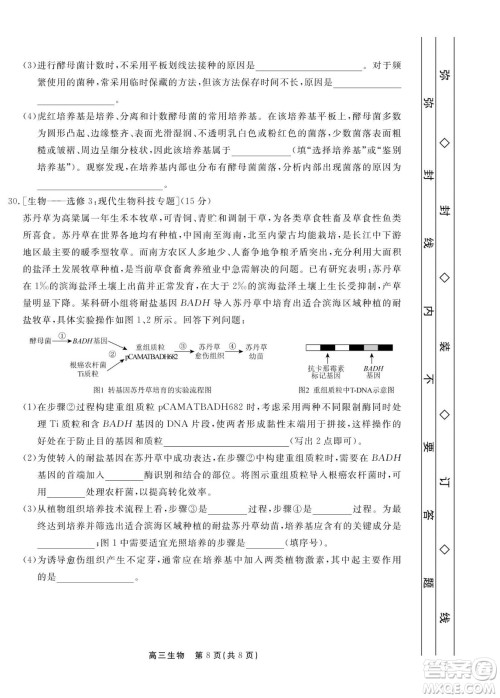 赣抚吉十一联盟2023届高三第一次联考生物试卷及答案 赣抚吉十一联盟2023届高三第一次联考生物试卷及答案