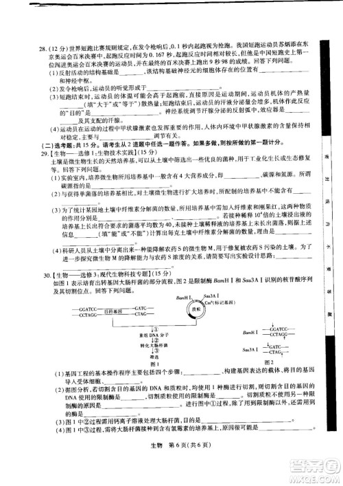 江西省2023届新高三第一次摸底考试生物试题及答案