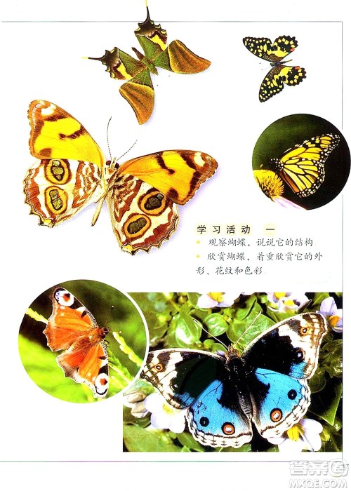 一年级上册美术冀教版电子课本 一年级上册美术冀教版电子课本