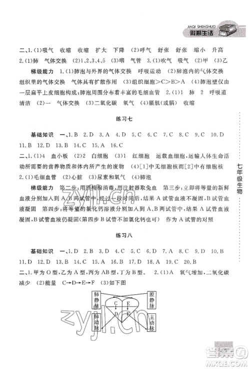 河北人民出版社2022假期生活七年级暑假生物通用版参考答案