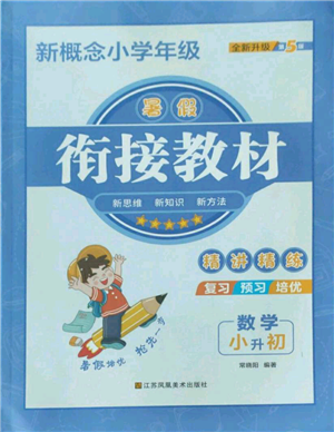 江苏凤凰美术出版社2022新概念小学年级暑假衔接教材小升初数学人教版参考答案