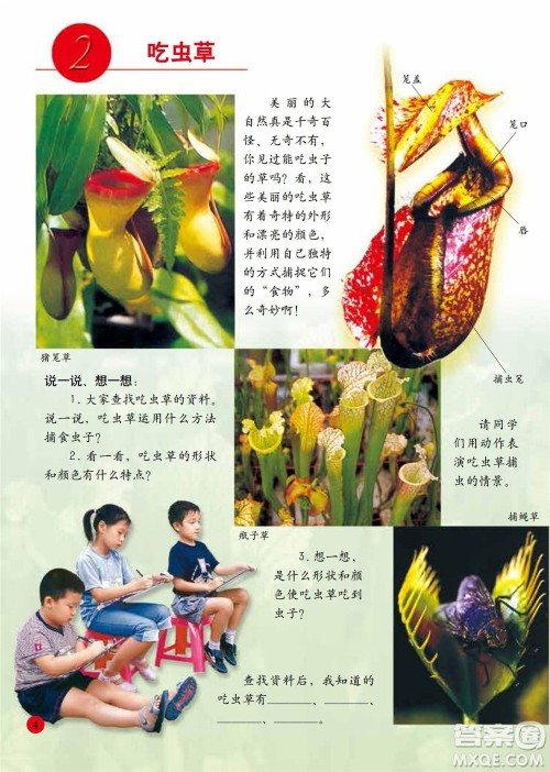 二年级下册美术人美版电子课本 二年级下册美术人美版电子课本