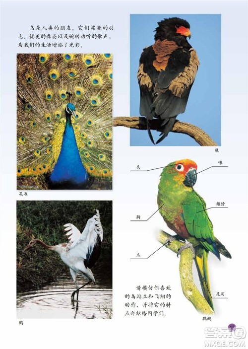 二年级下册美术人美版电子课本 二年级下册美术人美版电子课本