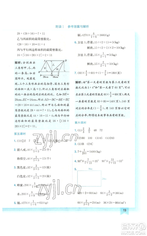 龙门书局2022黄冈小状元作业本六年级上册数学北师大版广东专版参考答案