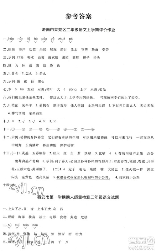 江西教育出版社2022阳光同学课时优化作业二年级语文上册五四专用答案