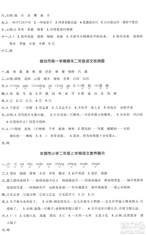 江西教育出版社2022阳光同学课时优化作业二年级语文上册五四专用答案
