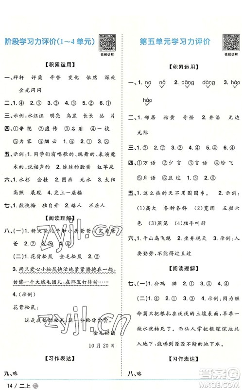 福建少年儿童出版社2022阳光同学课时优化作业二年级语文上册RJ人教版福建专版答案