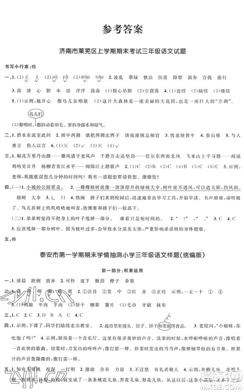 江西教育出版社2022阳光同学课时优化作业三年级语文上册五四专用答案