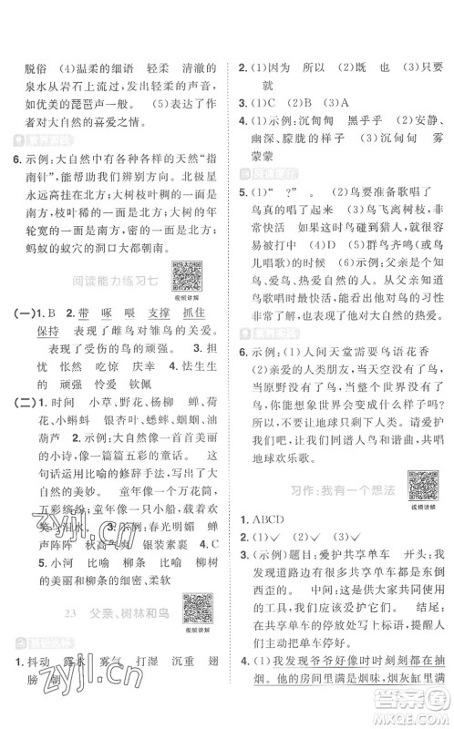 江西教育出版社2022阳光同学课时优化作业三年级语文上册RJ人教版菏泽专版答案 江西教育出版社2022阳光同学课时优化作业三年级语文上册RJ人教版菏泽专版答案