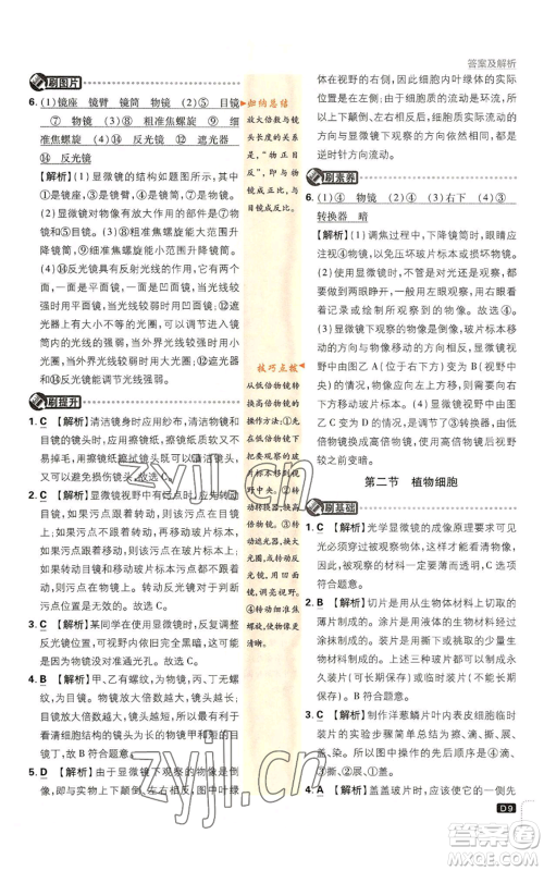 开明出版社2023初中必刷题七年级上册生物人教版参考答案 开明出版社2023初中必刷题七年级上册生物人教版参考答案