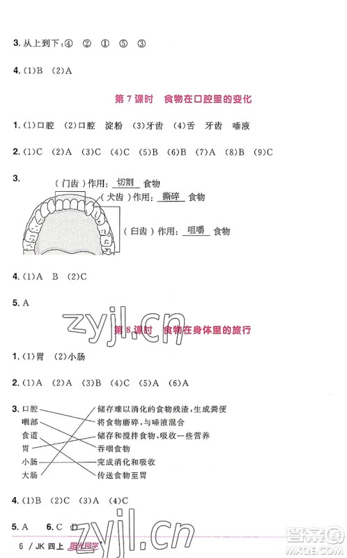 江西教育出版社2022阳光同学课时优化作业四年级科学上册JK教科版答案
