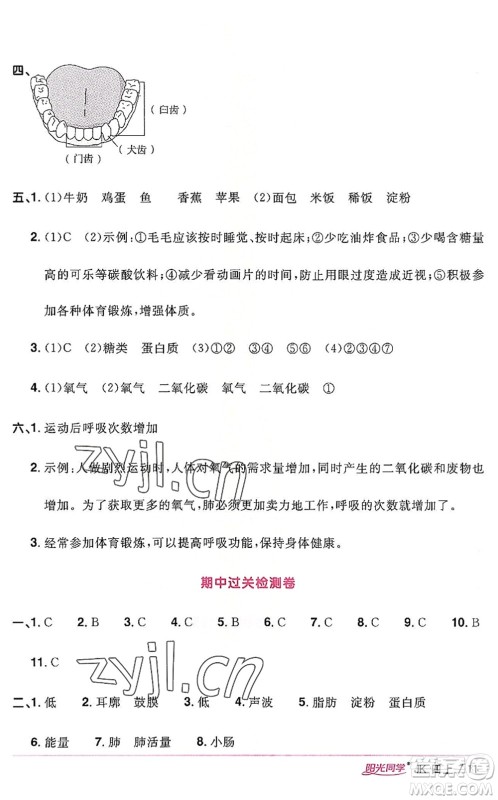 江西教育出版社2022阳光同学课时优化作业四年级科学上册JK教科版答案