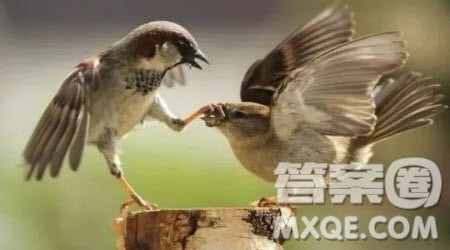 ___是人类的好朋友作文400字 以___是人类的好朋友为题的作文400字 ___是人类的好朋友作文400字 以___是人类的好朋友为题的作文400字