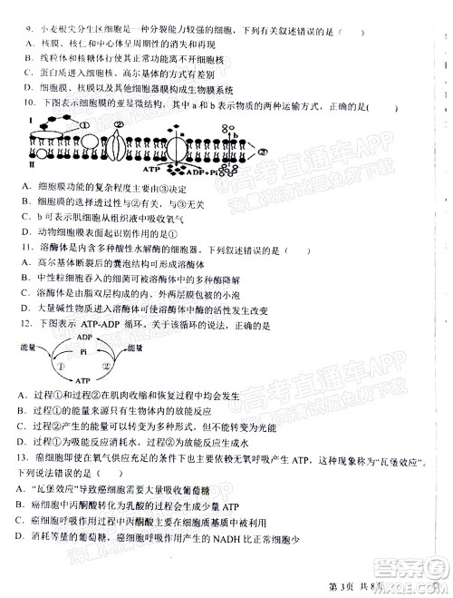 2023届河北深州中学高三年级第一次月考生物试题及答案