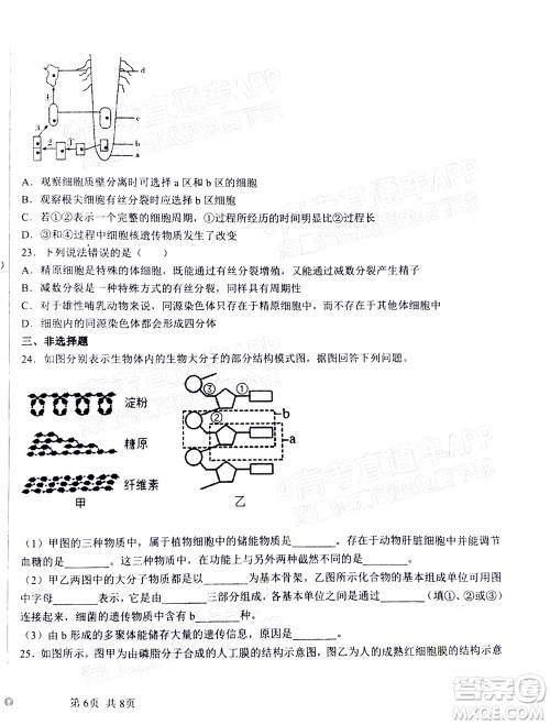 2023届河北深州中学高三年级第一次月考生物试题及答案