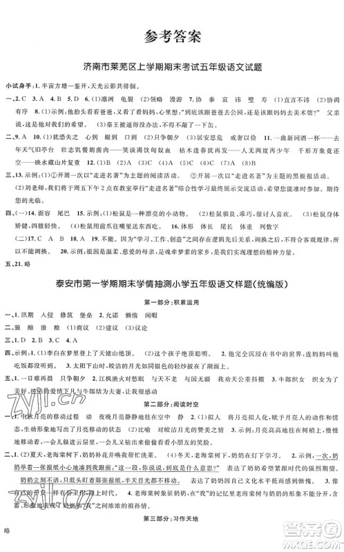 江西教育出版社2022阳光同学课时优化作业五年级语文上册五四专用答案